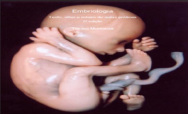 EMBRIOLOGIA
