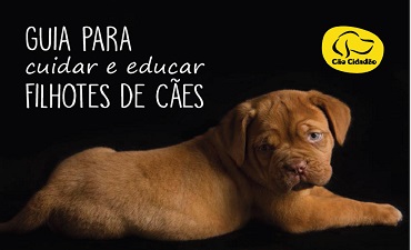 FILHOTES DE CÃES – CUIDAR E ADESTRAR