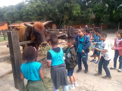 Foto 1 - Aula de Campo na Fazendinha